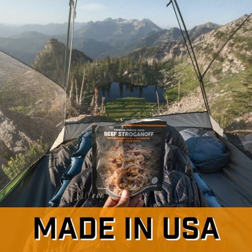 Person holding beef stroganoff packet inside tent with mountain view